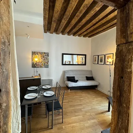Typique Parisien Au Coeur Du Marais Paříž